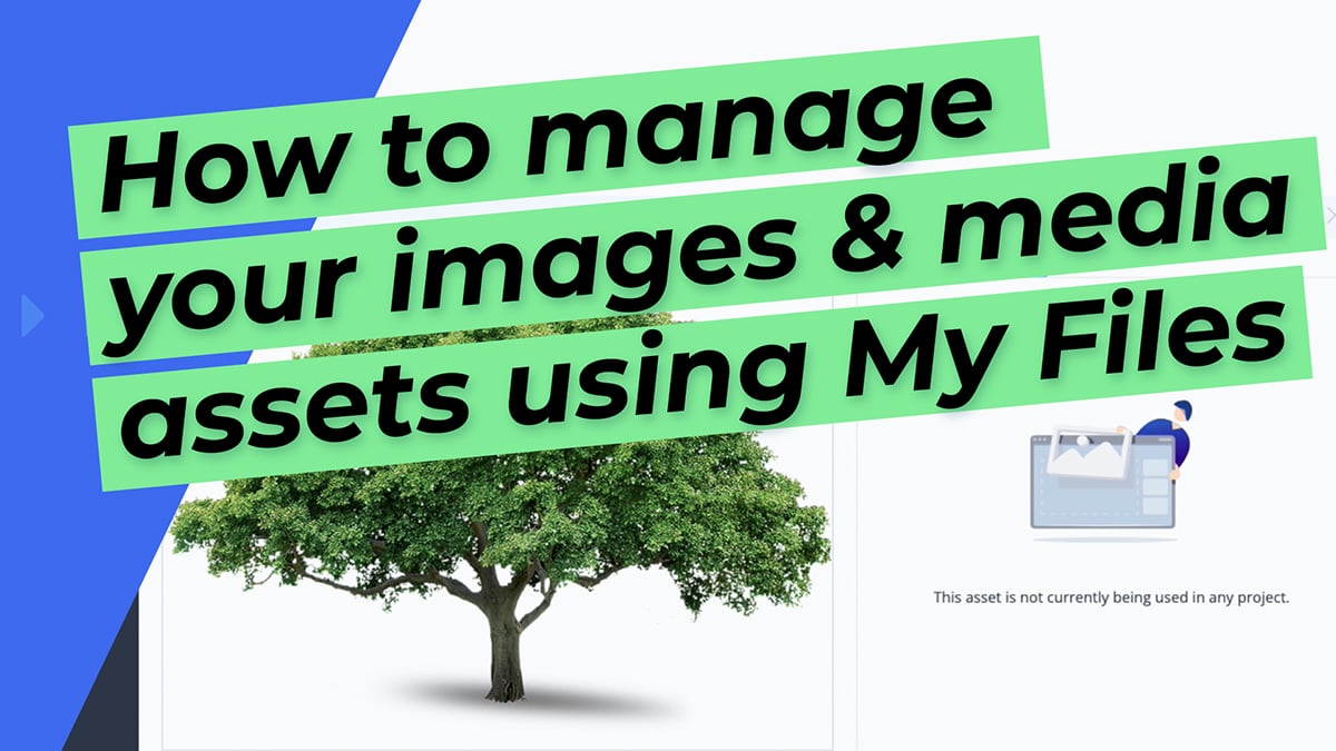 How to fully manage your images and media assets using My Files