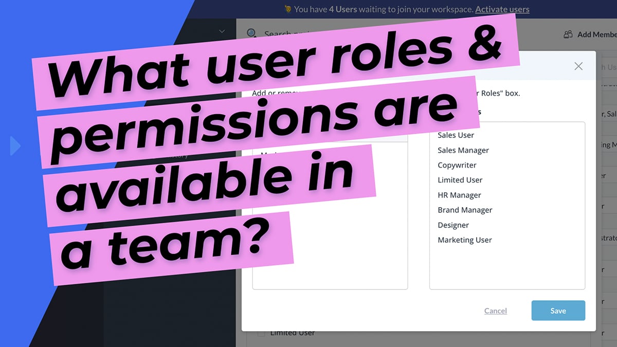 What user roles and permissions are available in a team?