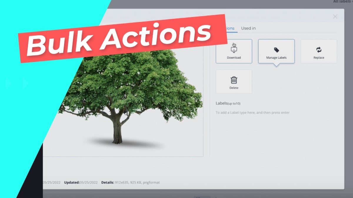 Bulk Actions