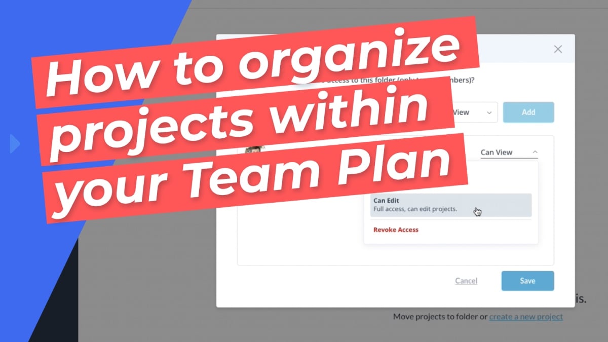 How to organize projects within your Team Plan