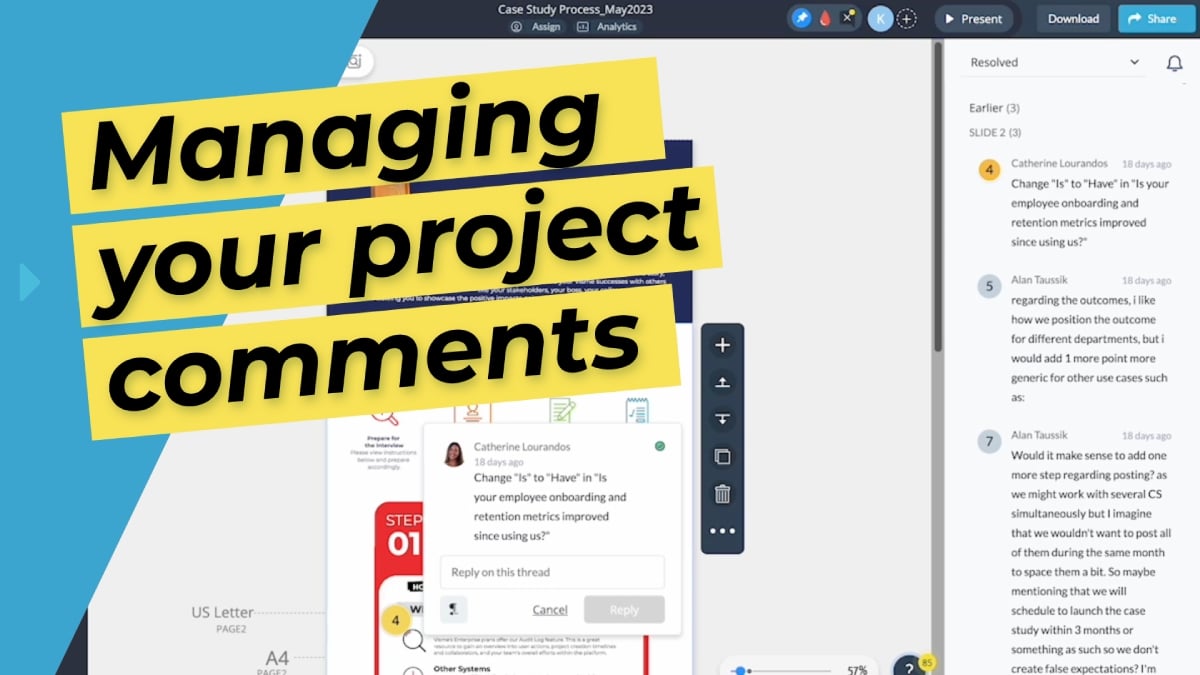 Managing your project comments