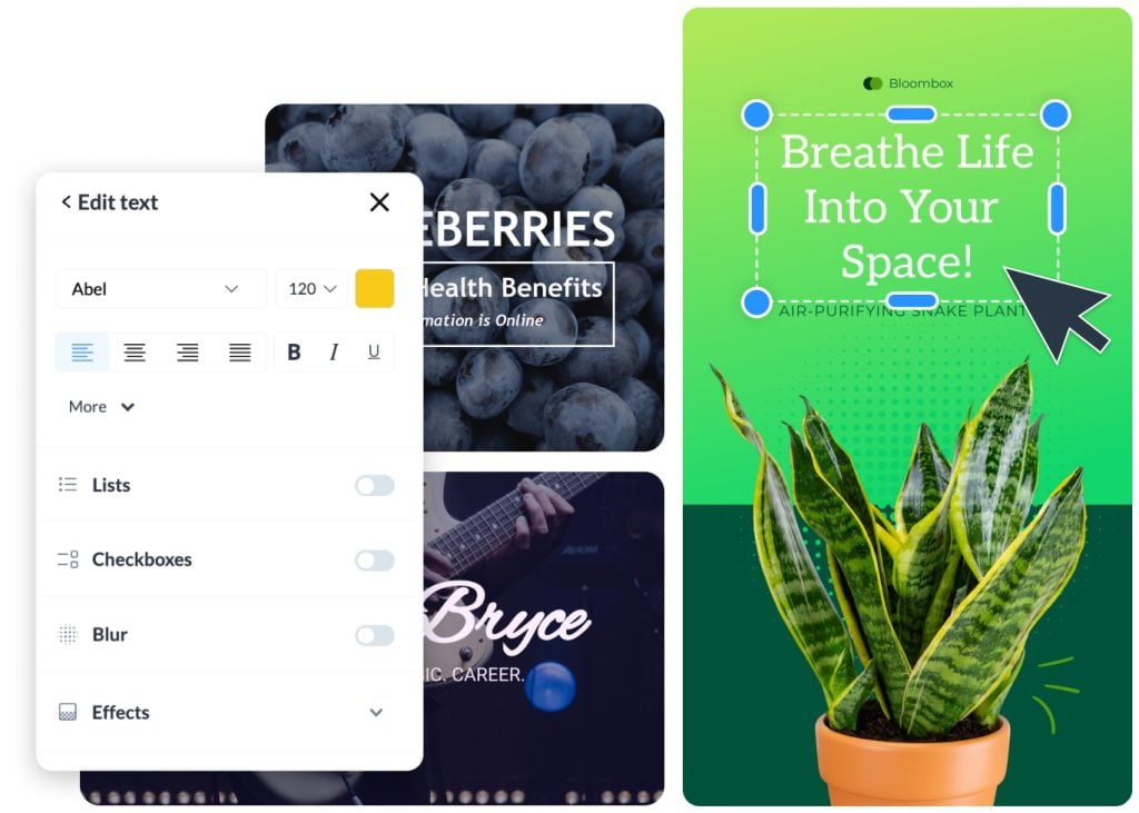 Add Text to Photo Online | Visme