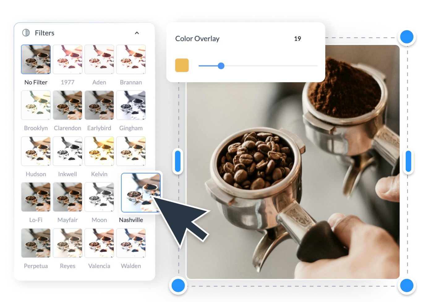 Explora el poder de los filtros exclusivos de Visme