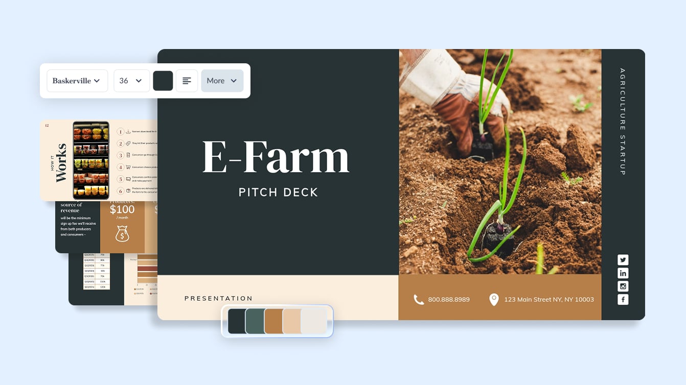 One Content System for Every Asset